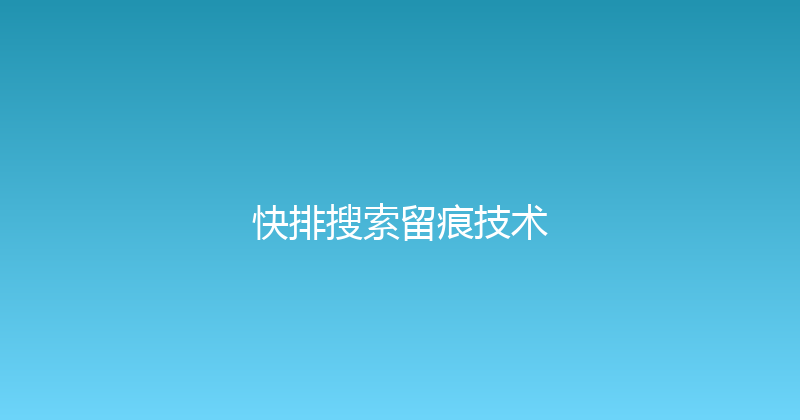 快排搜索留痕技术 封面图