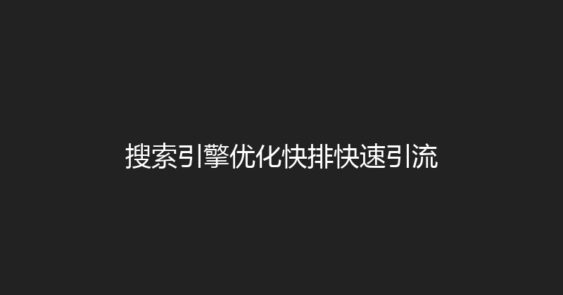 搜索引擎优化快排快速引流 封面图