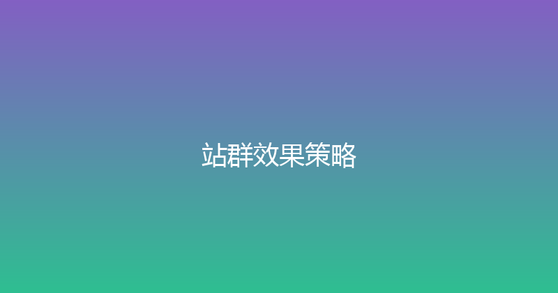 站群效果策略 封面图