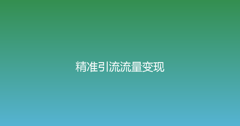 精准引流流量变现 封面图