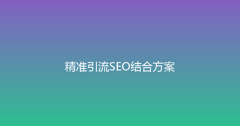精准引流SEO结合方案 封面图