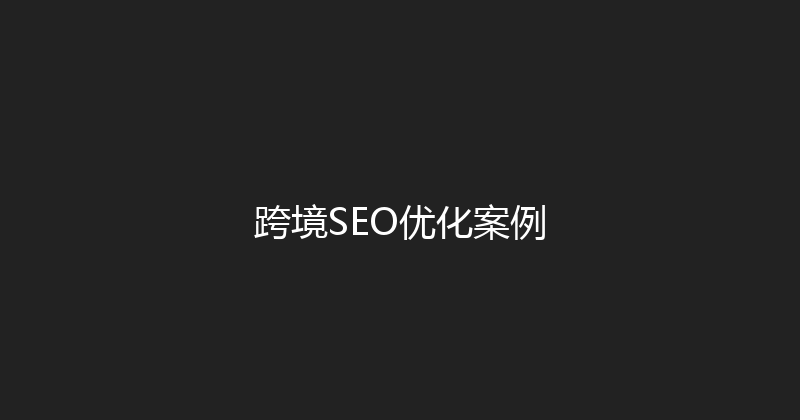 跨境SEO优化案例 封面图