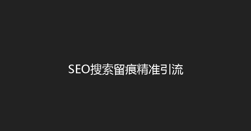 SEO搜索留痕精准引流 封面图